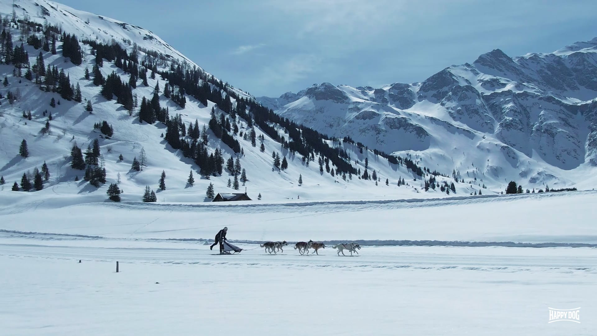 Hundeschlitten-Team mit Musher vor einer weiten verschneiten Berglandschaft