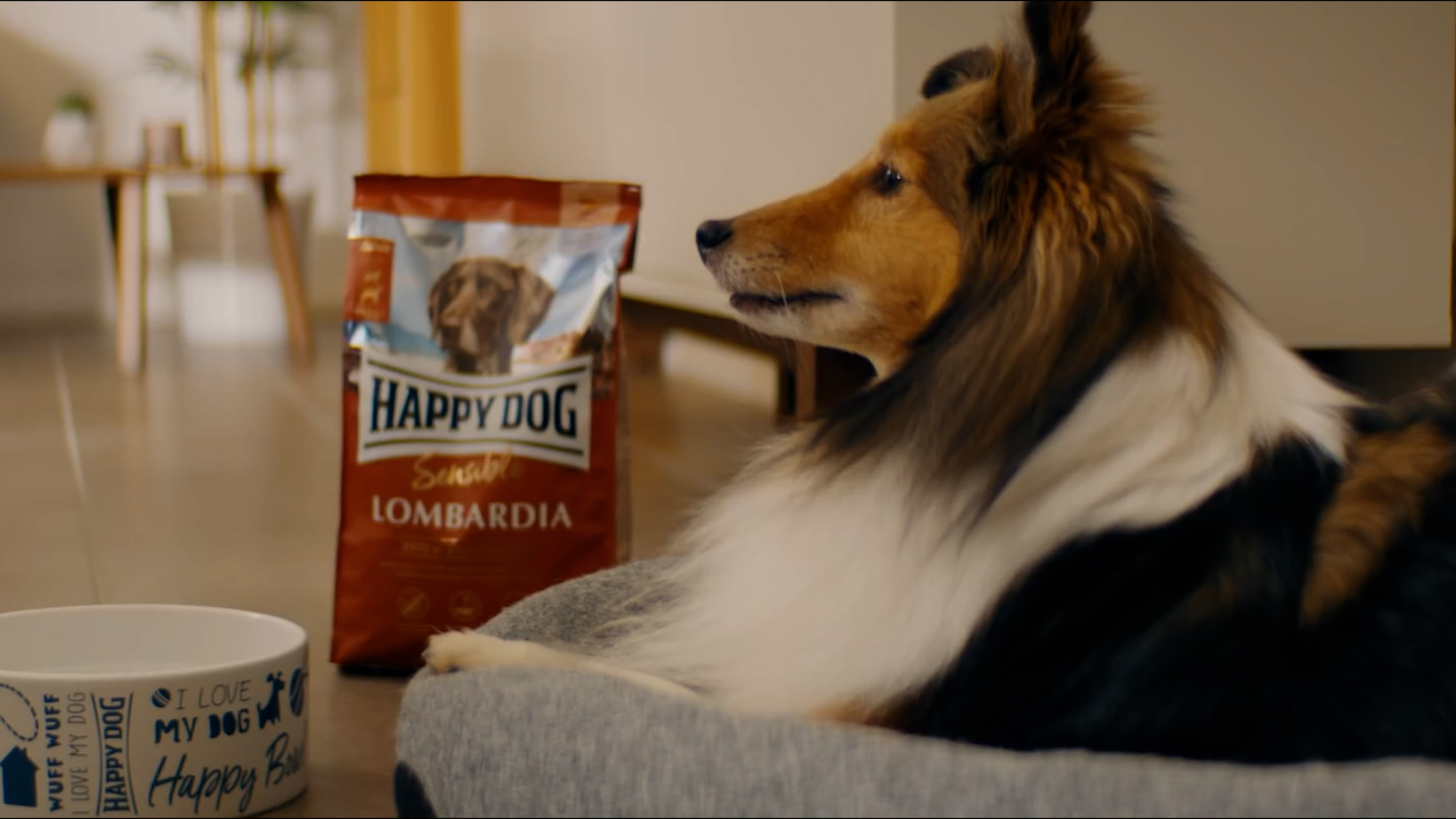 Hund neben einer Packung Happy Dog Supreme Sensible Lombardia in einem weihnachtlich inszenierten Wohnzimmer
